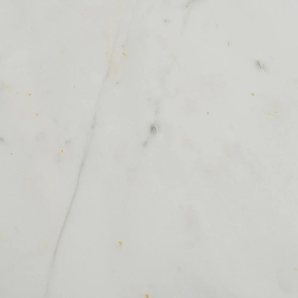 IMAR-186_DET_2.jpg