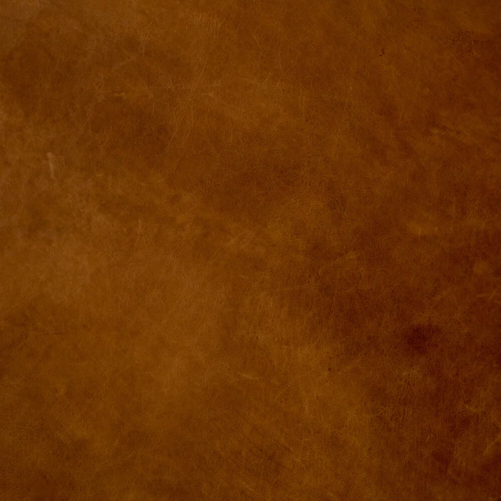 CBSH-012-102_DET_2.jpg