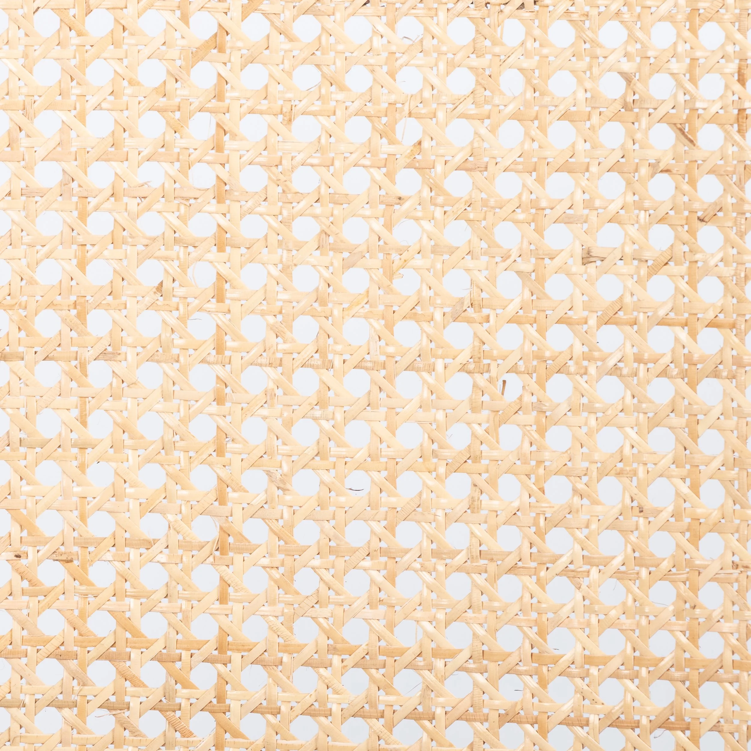 101048-013_DET_4.jpg