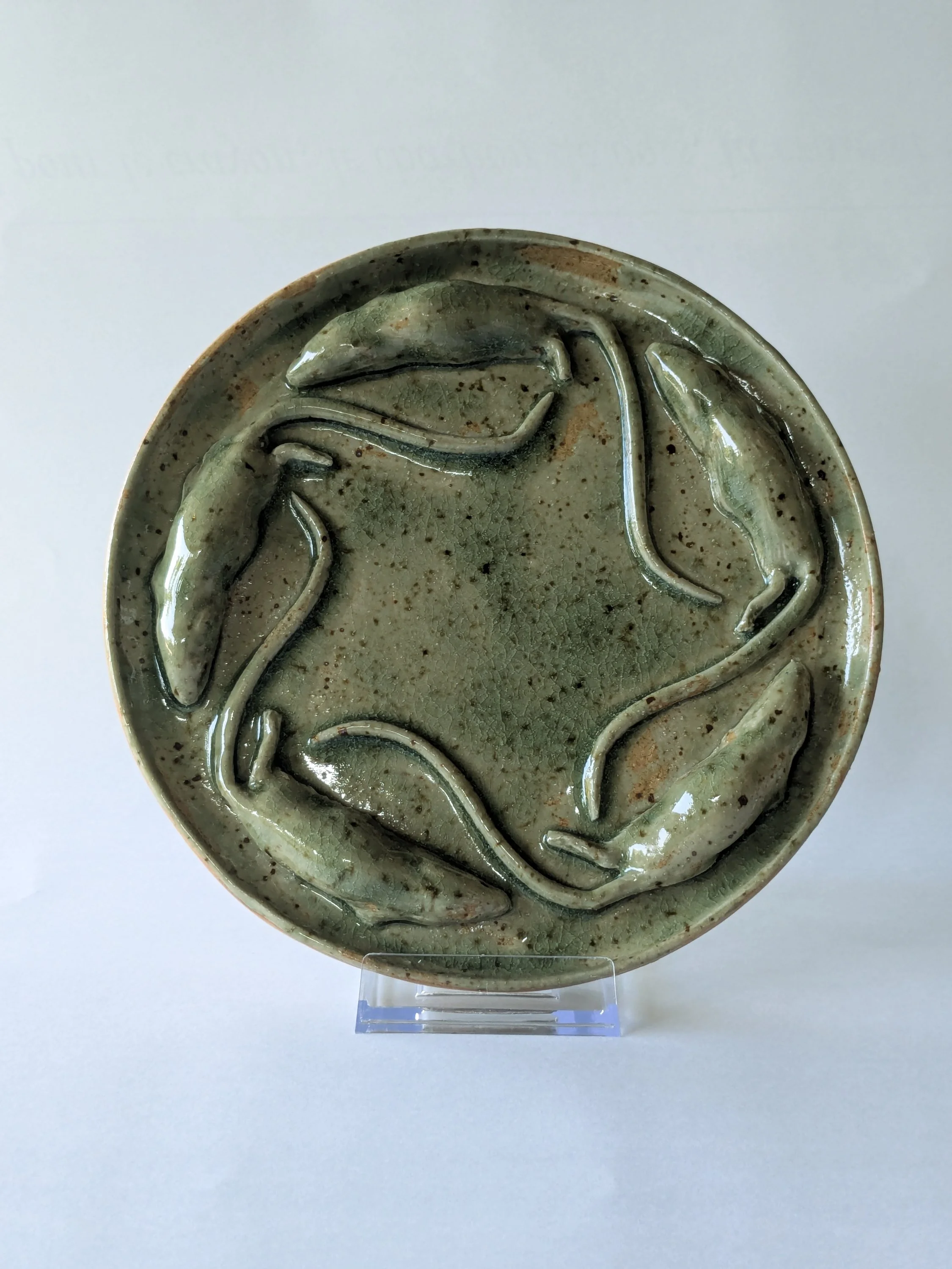 Invasive Plate 4