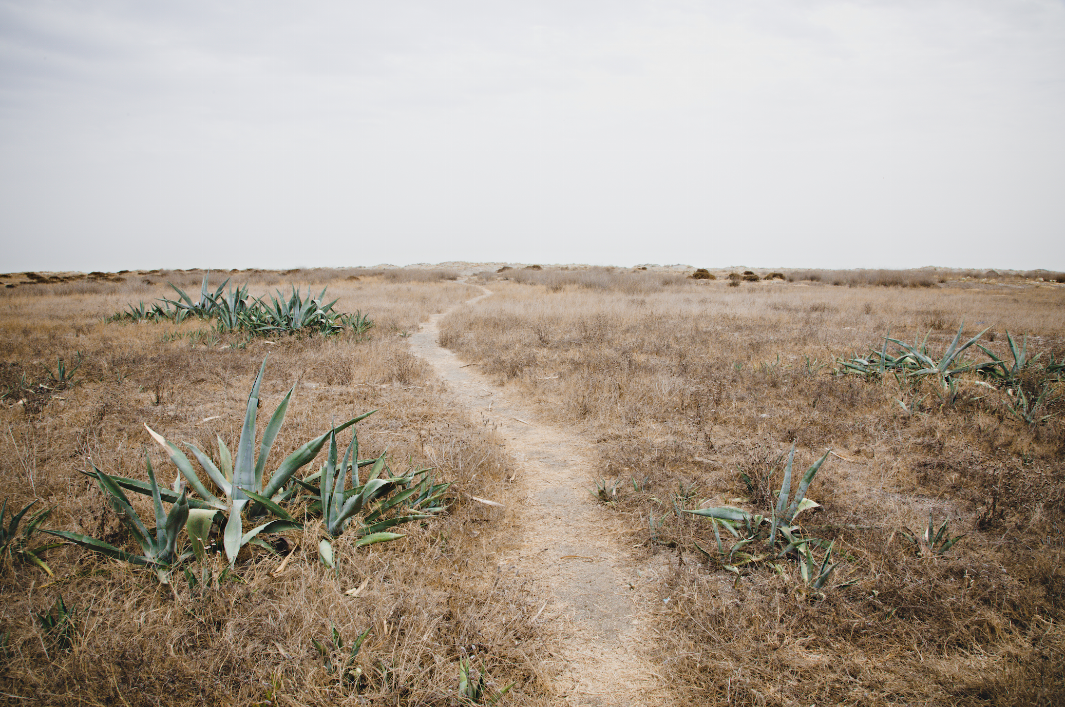 Screen Shot 2015-09-30 at 01.40.56 pm.png