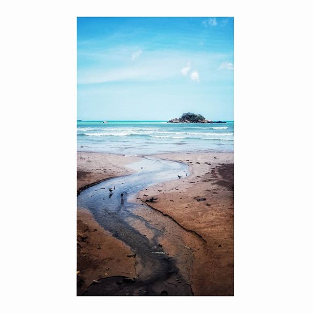 Like an umbilical cord to the sea .
.
.
#srilanka #weligama #sea #river #crows #plasticsea