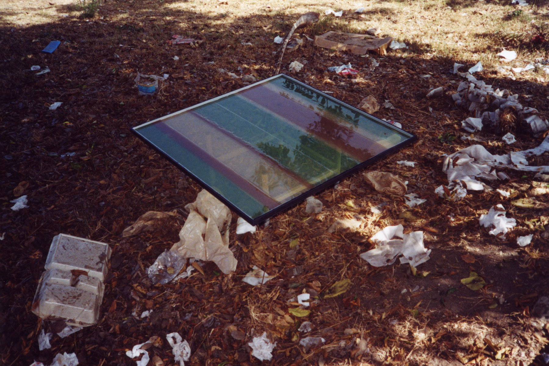 Inocutation07.jpg
