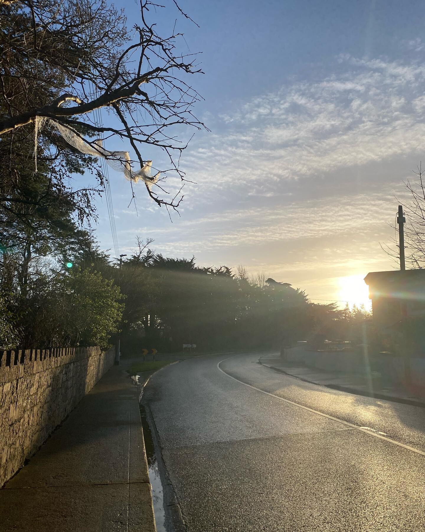 This morning has all the January feels, crisp and dry and hopefully turning a corner maybe just in sight. 
Have a lovely Day y&rsquo;all 👋🏻