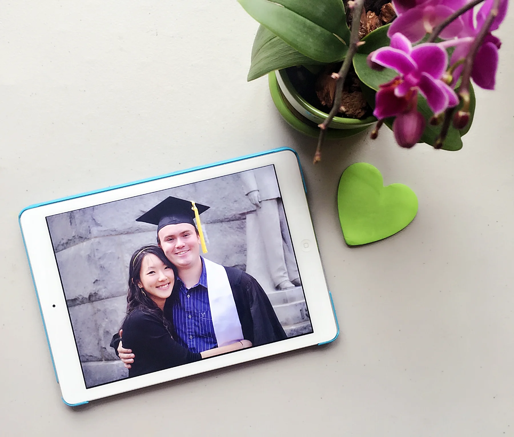 What Love Has Taught Me