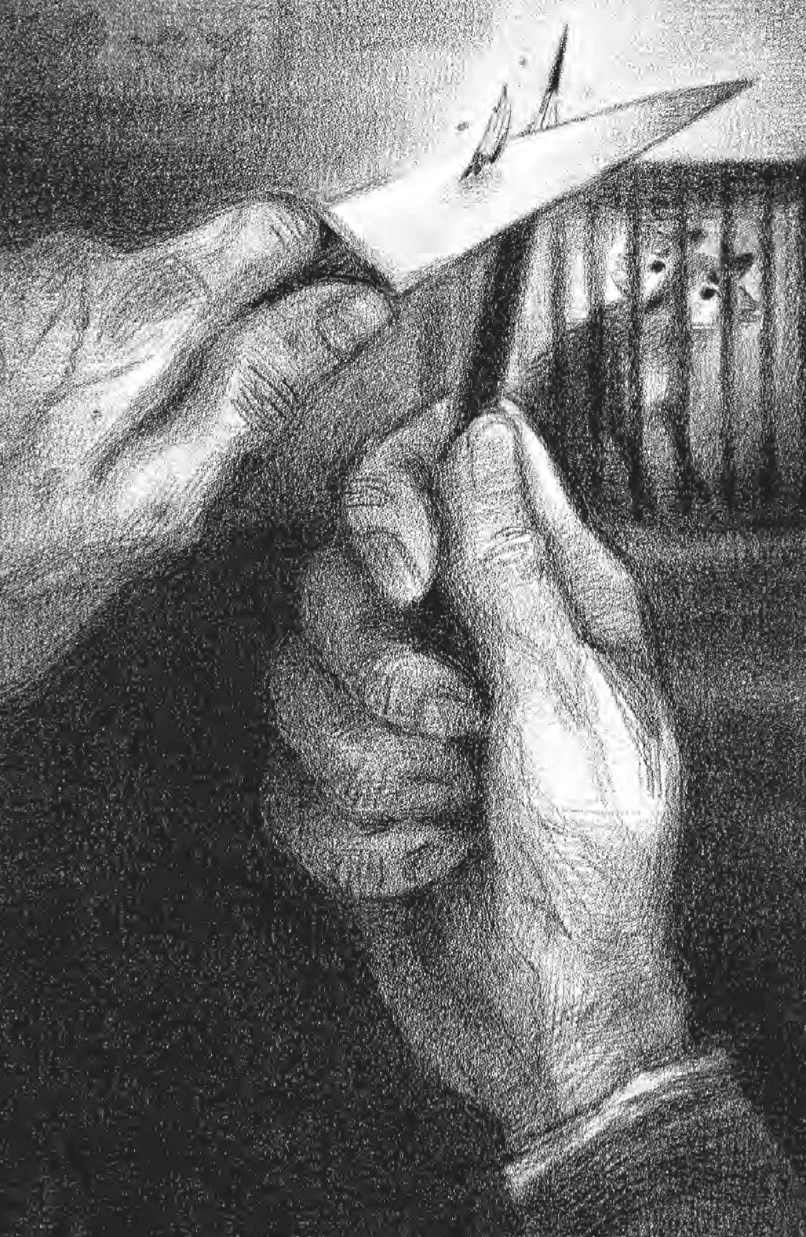 Art by Junyi Wu