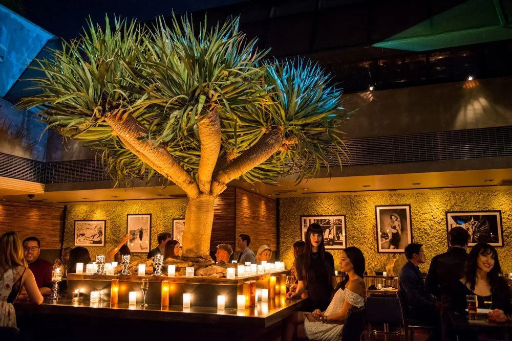 Is Speed Dating Still a Thing in 2026? Yes — Here's the Data