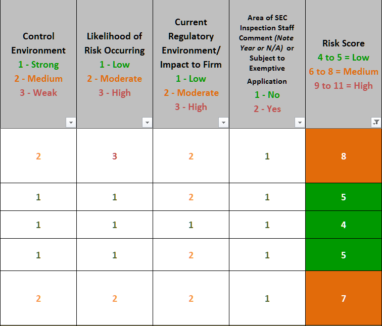 Risk Governance for An Investment Adviser