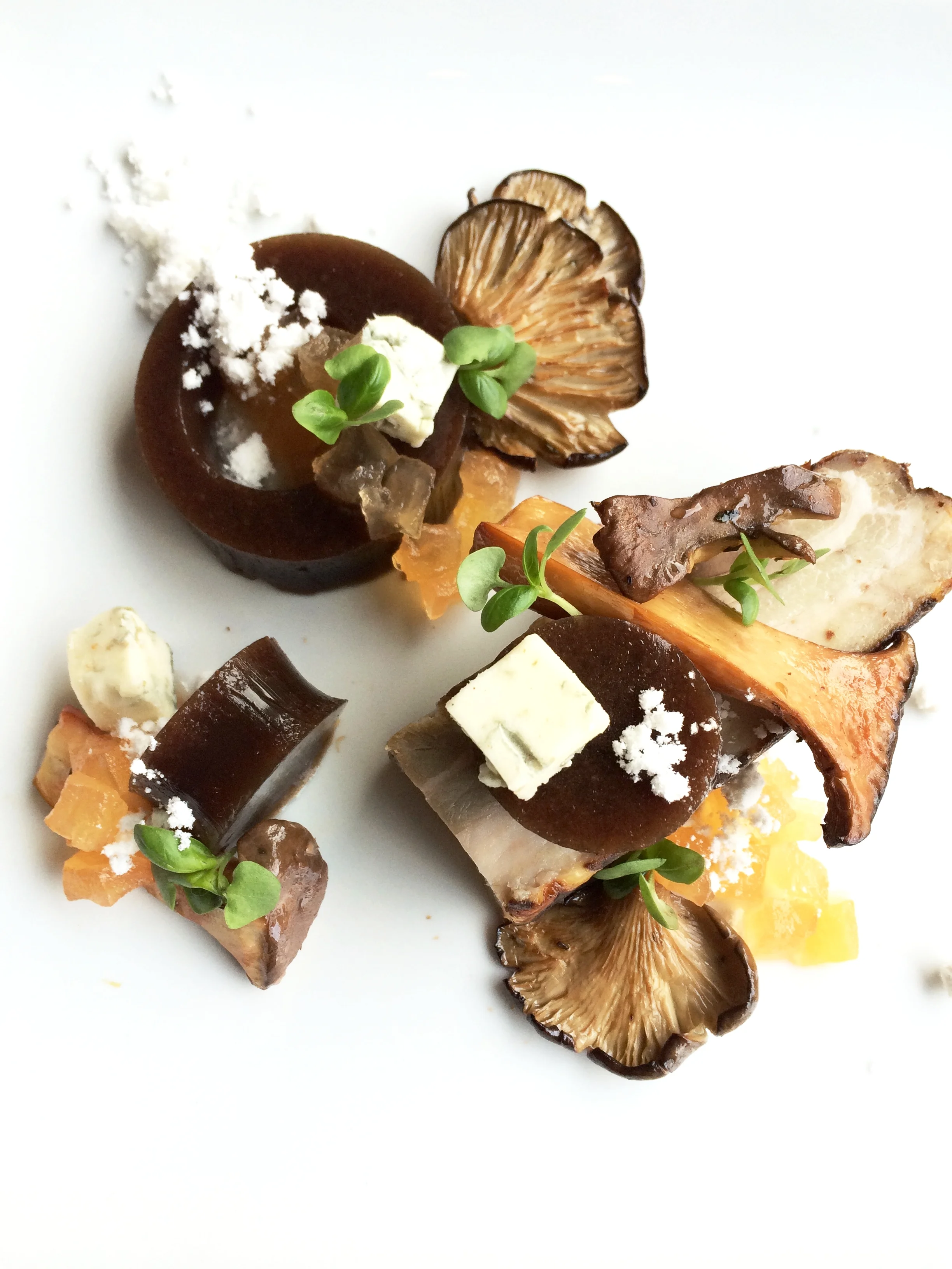 Smoked Mushrooms, Sherry Porcini Gelee, Feta