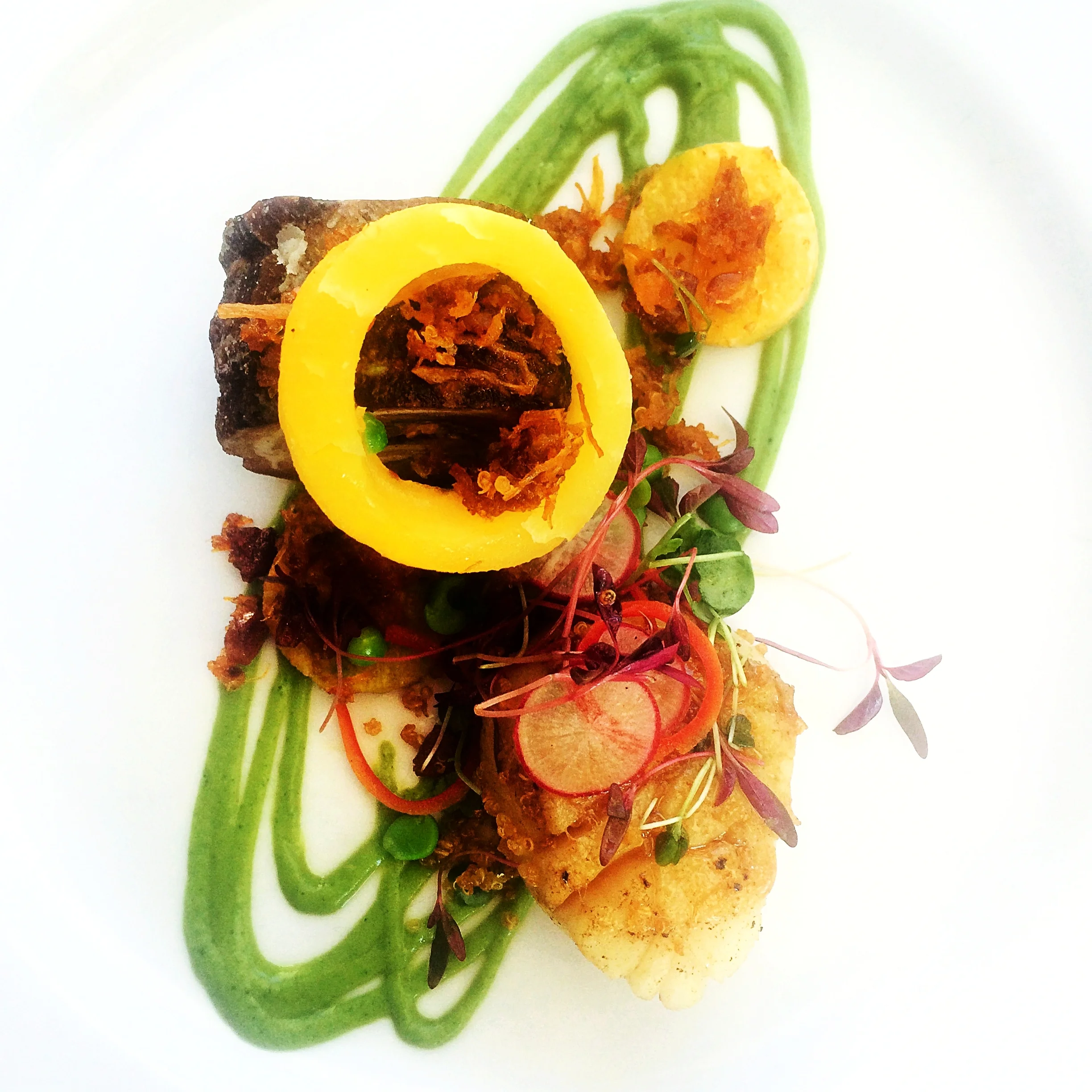 Smoked Lamb, Scallop XO Sauce, Rutabaga, Fava