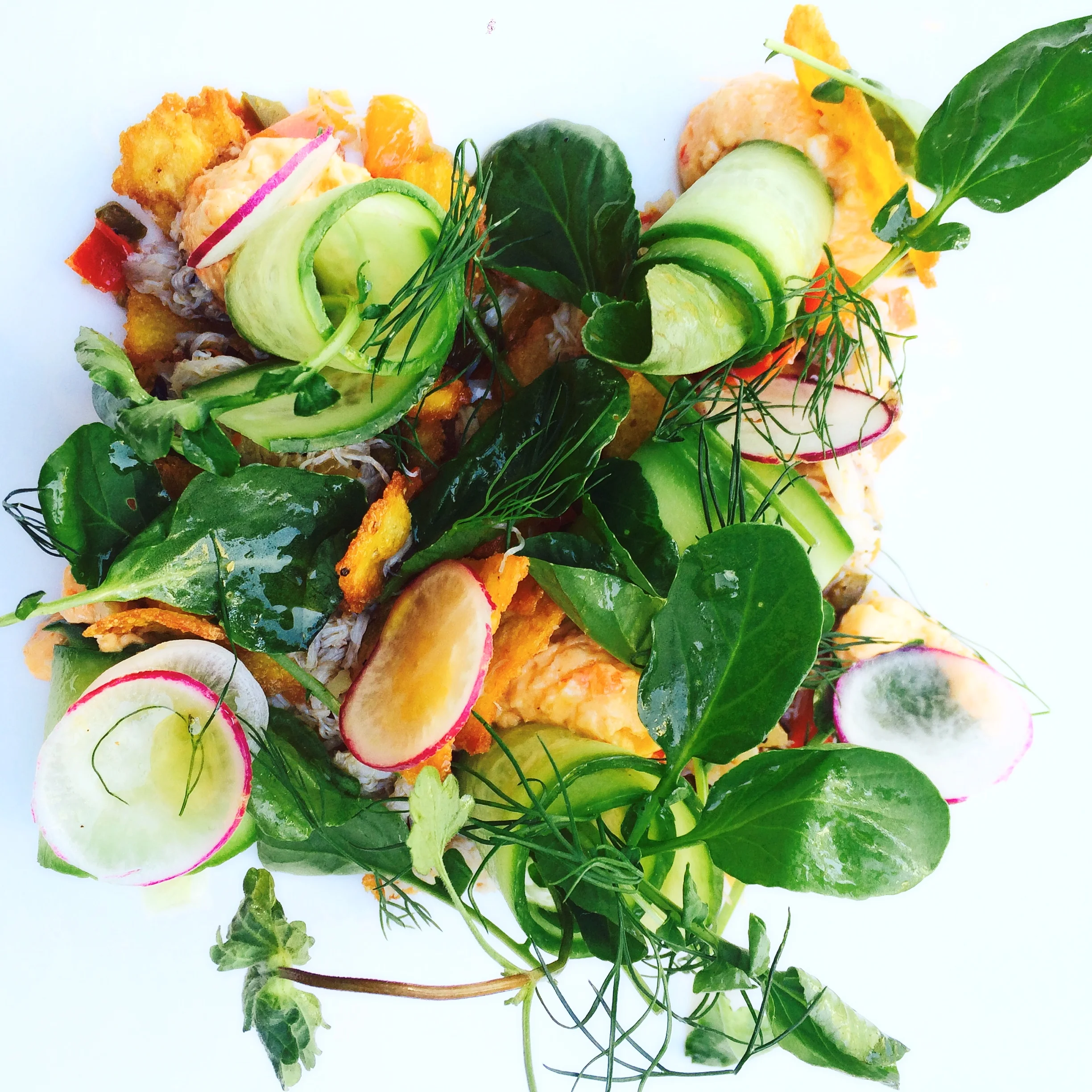 Pimento Cheese, Watercress, Persian Cucumbers, Radish