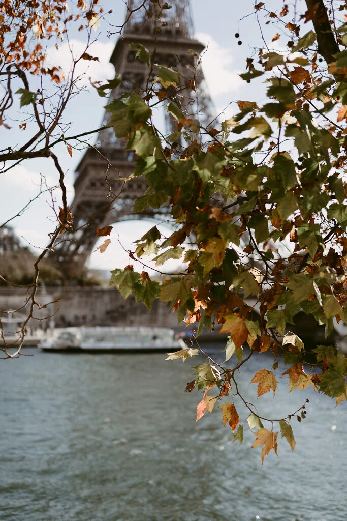 _07A5176.jpg