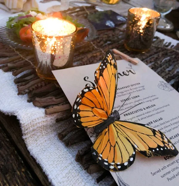 Green Love Denver: SUMMER, An Evening in Boulder