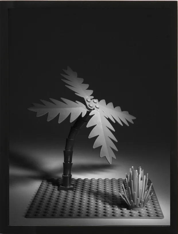 Daniel Terna Lego Palm Tree, 2012/2015 16" x 12" (Framed) Edition of 3 + 2 AP's Pigment print Click here to purchase