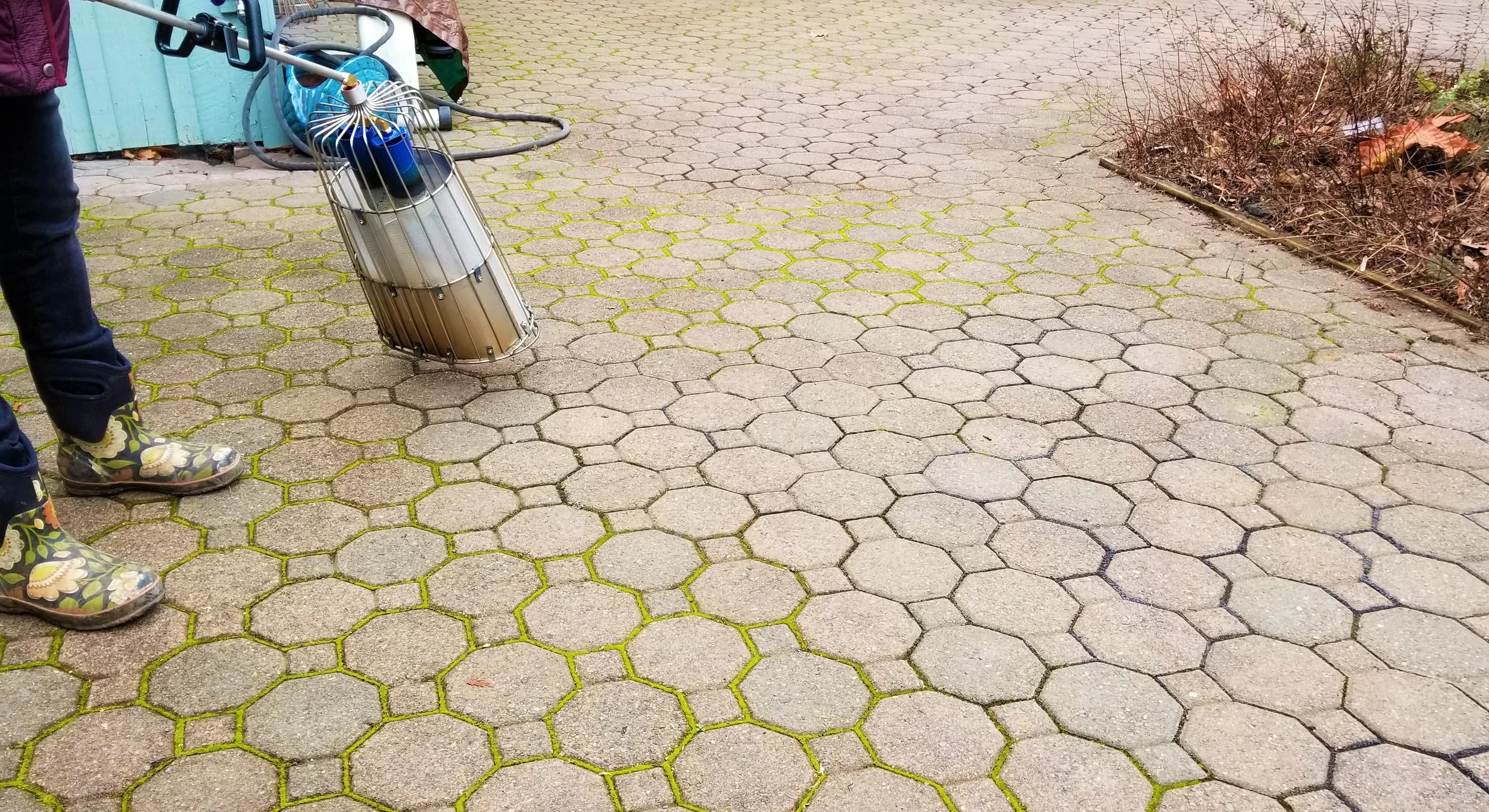 Sphot Weeder Spring Cleaning Patio Moss Flamewerks Llc