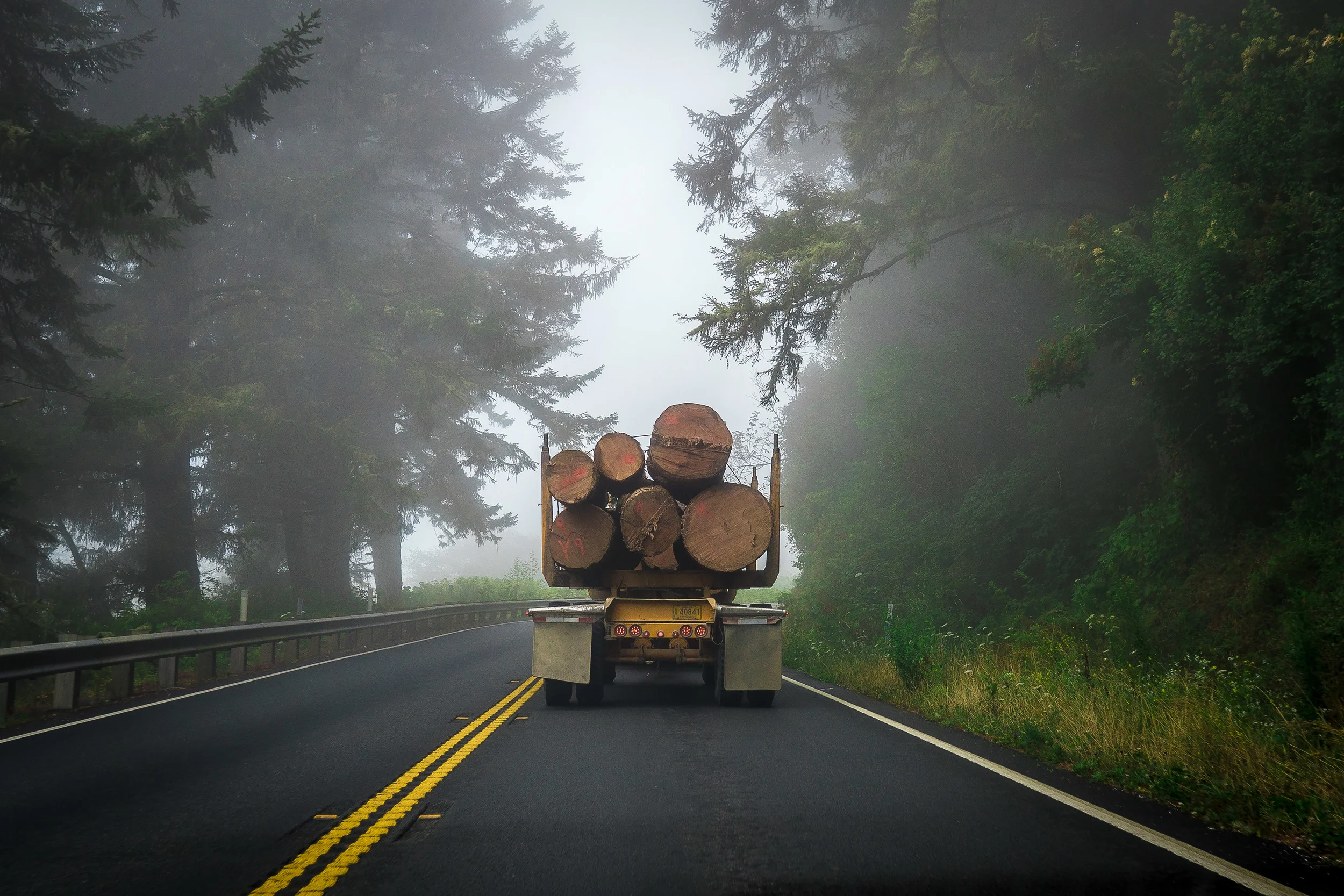 Lumber_Road_12x18_A.jpg
