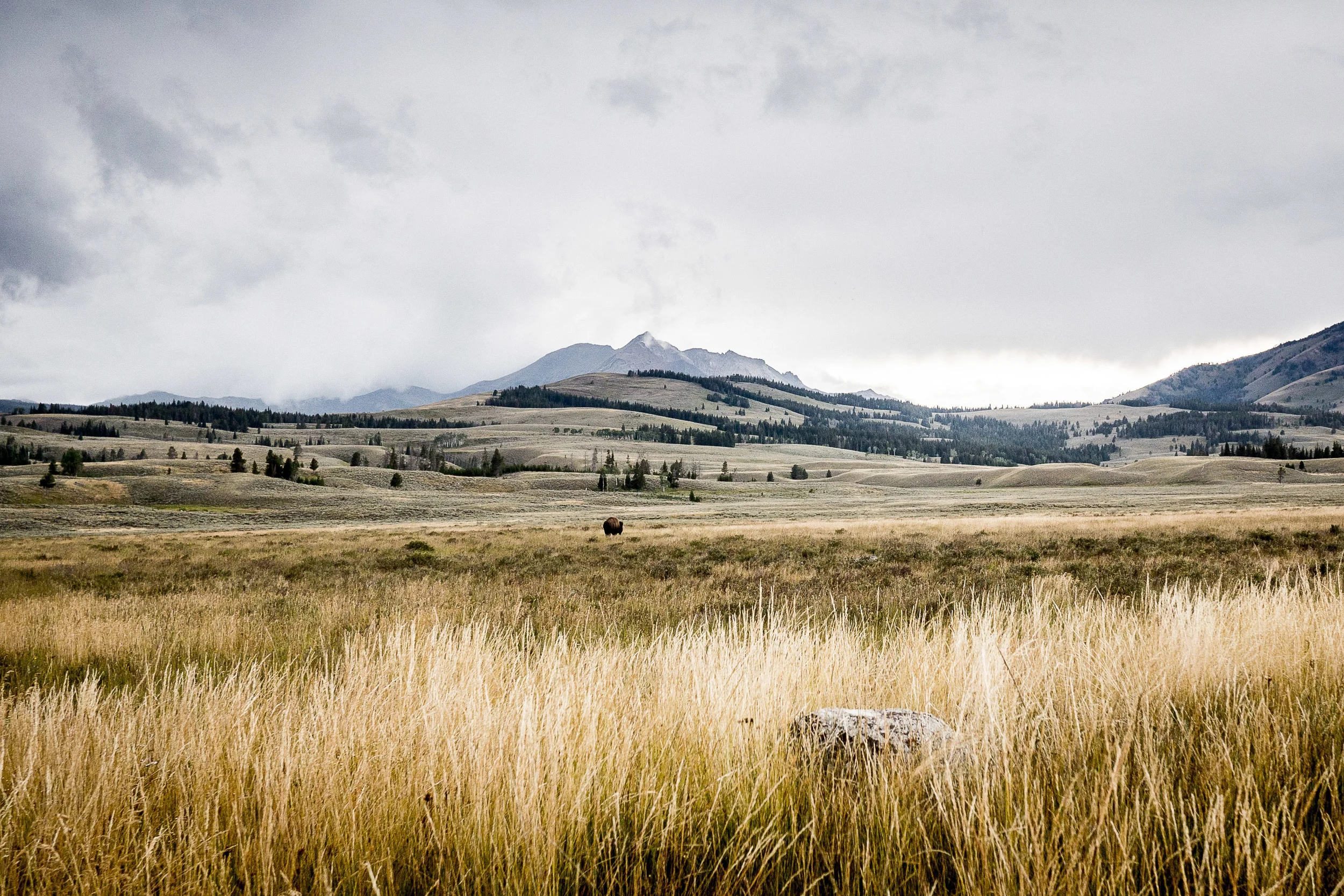 RoadTrip2014Roll3-488.jpg