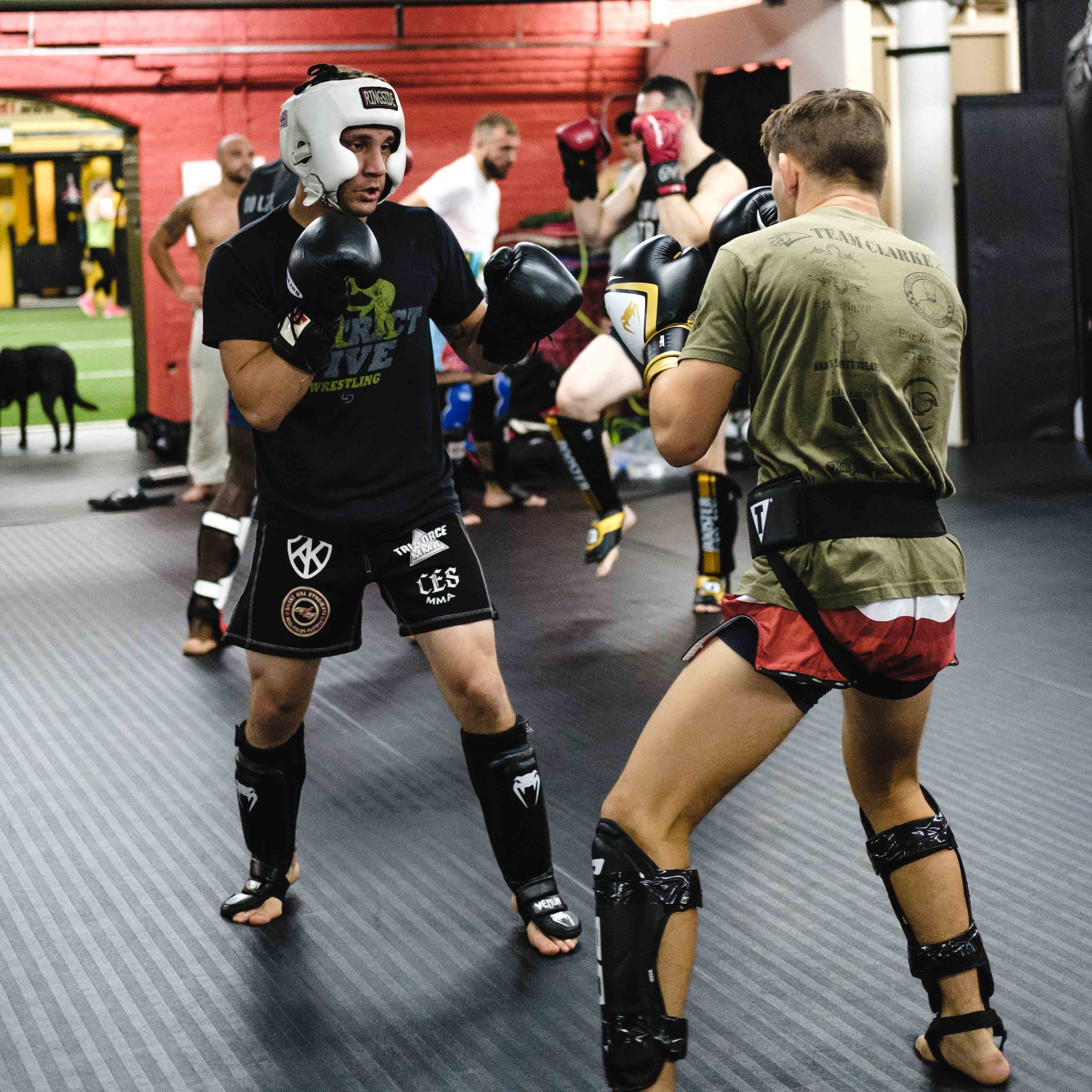 TriForce MMA & BJJ Rhode Island