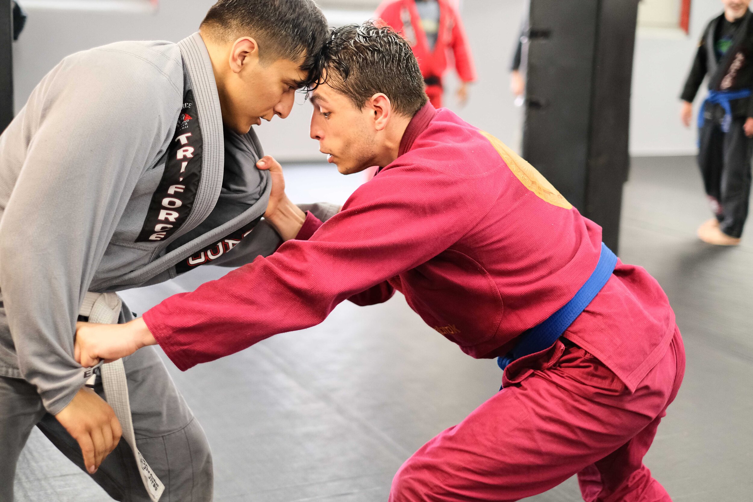 TriForce MMA & BJJ Rhode Island