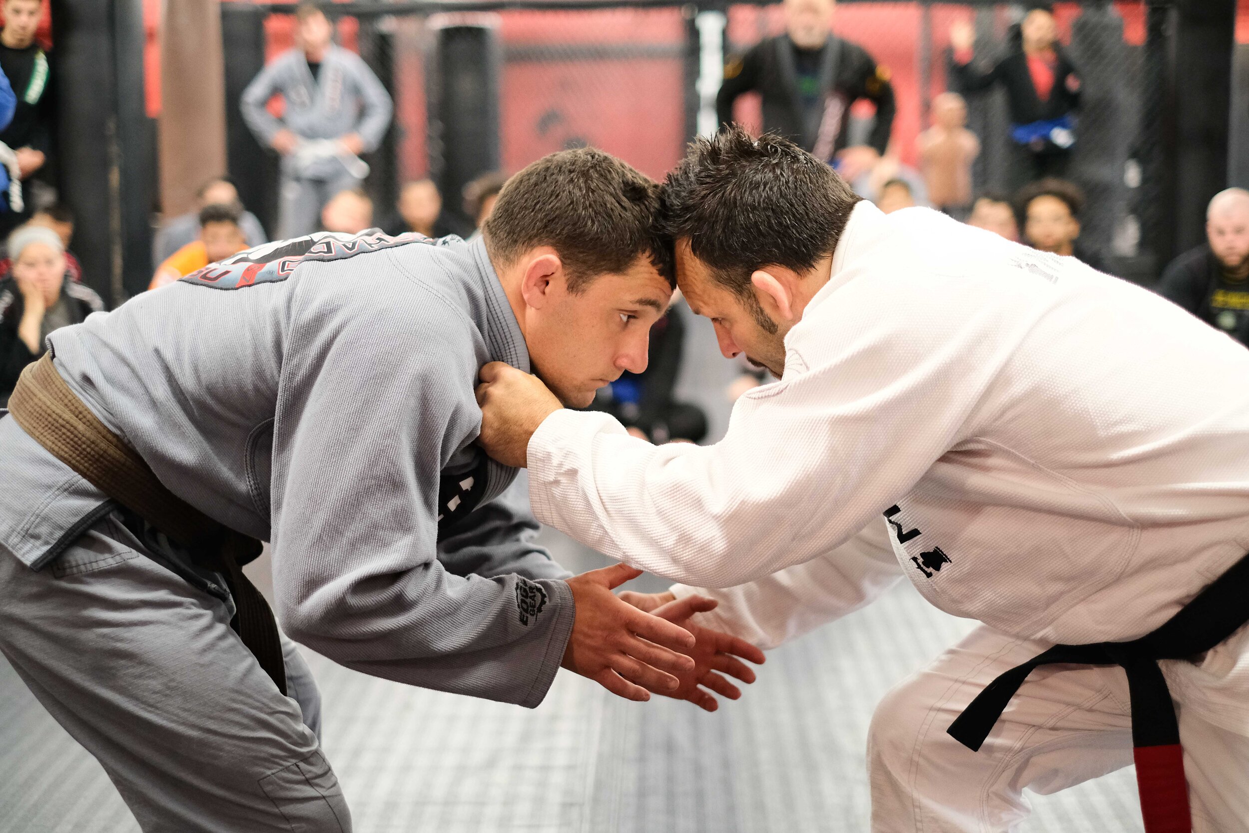 TriForce MMA & BJJ Rhode Island