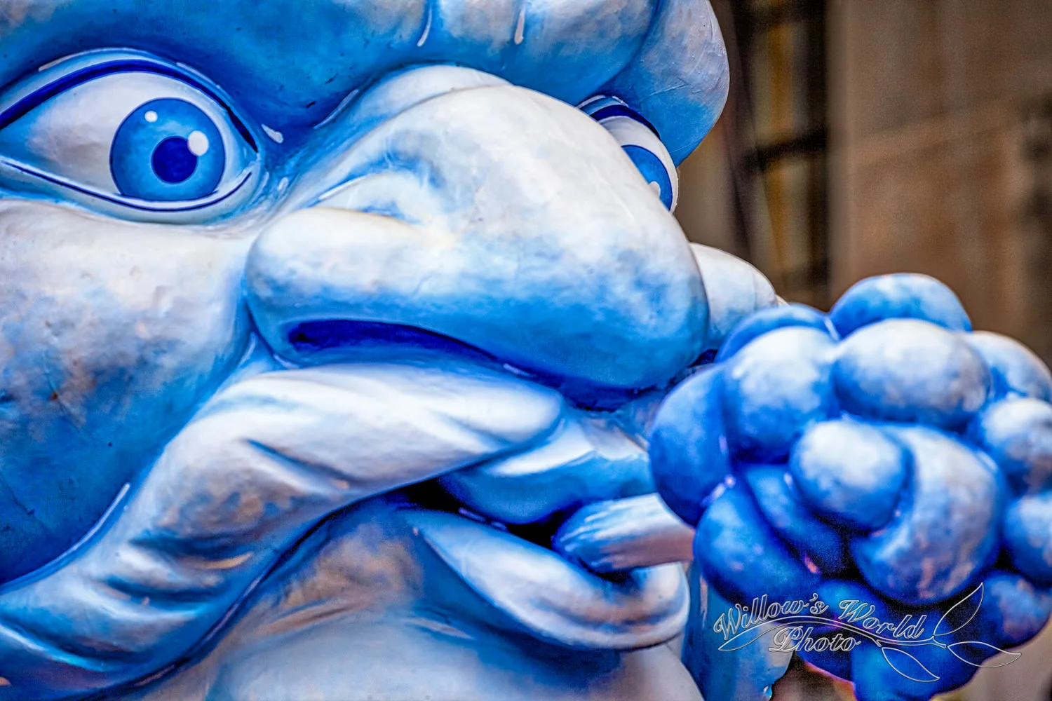 Mardi Gras WillowsWorldPhoto-14.jpg