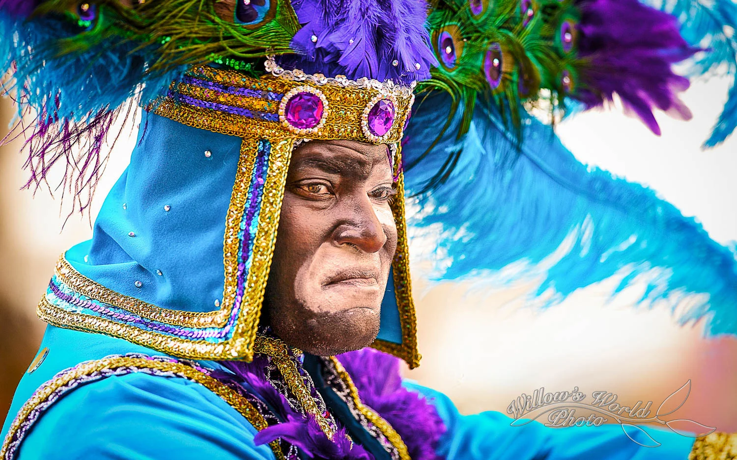 Mardi Gras WillowsWorldPhoto-21.jpg