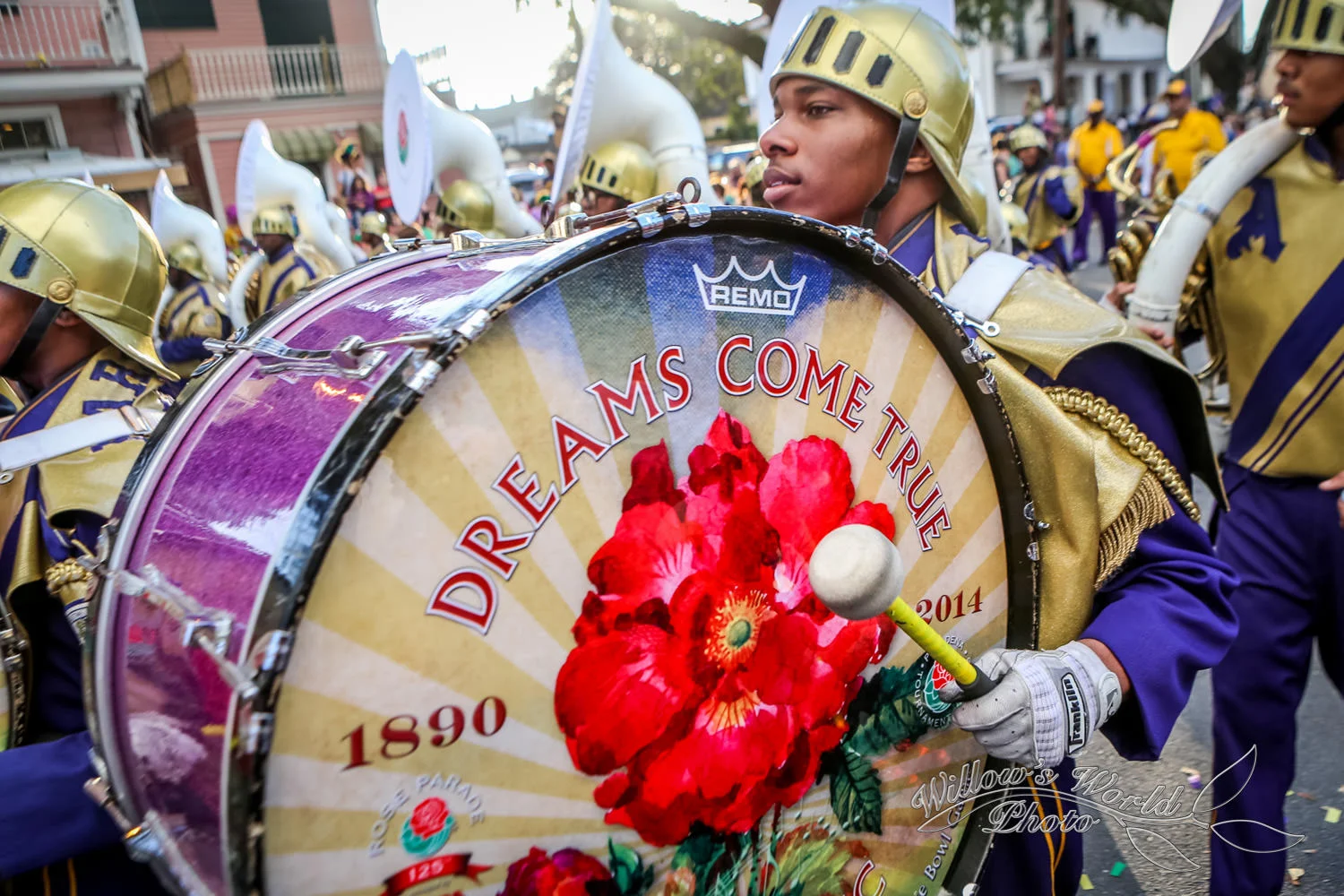Mardi Gras WillowsWorldPhoto-36.jpg