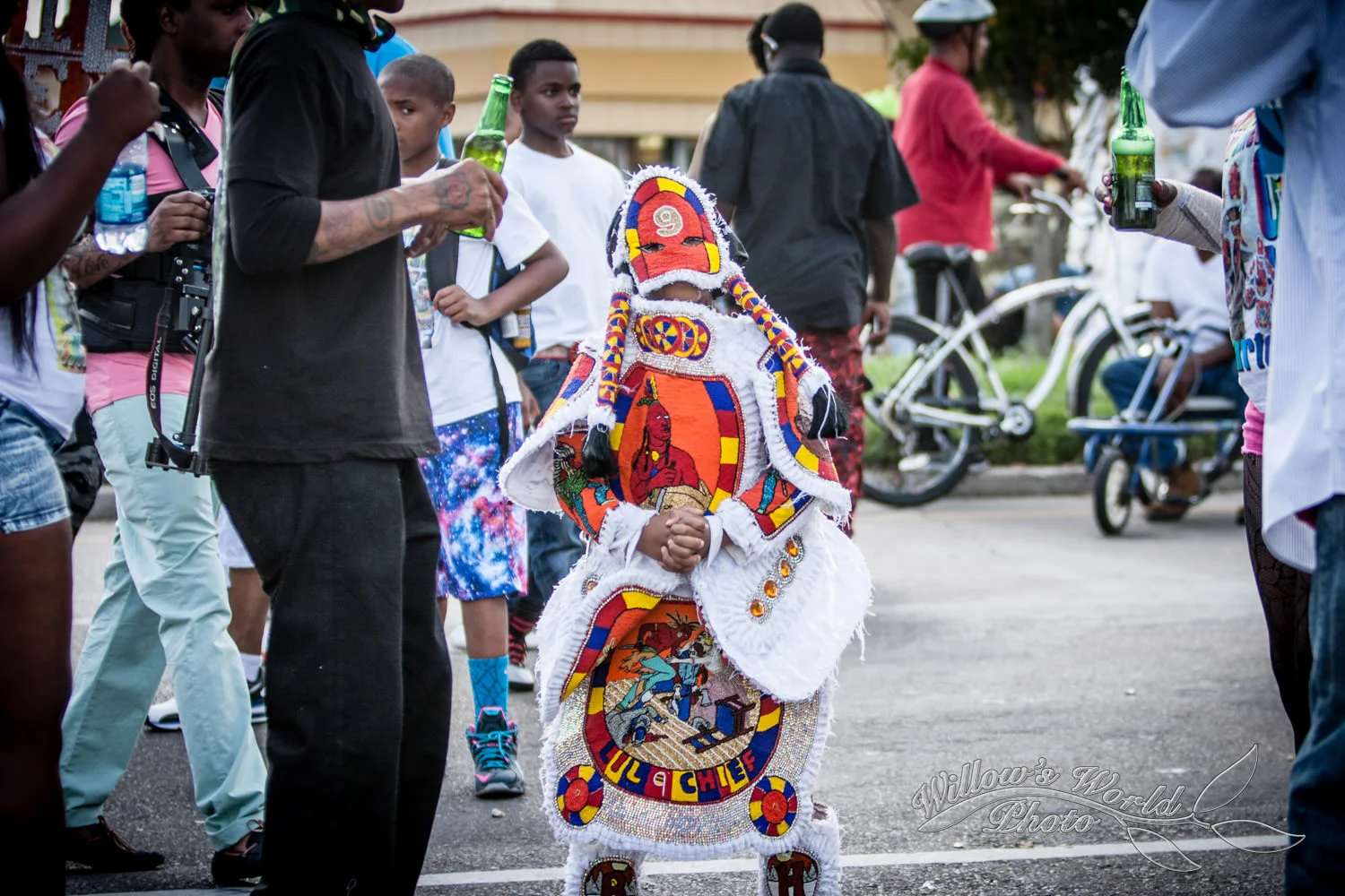 Mardi Gras Indians WillowsWorldPhoto-67.jpg