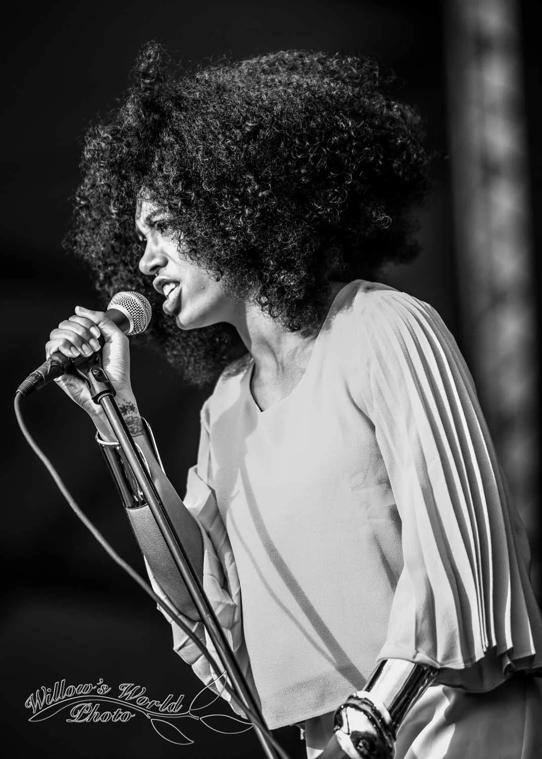 New Orleans Jazz Fest Photos WillowsWorldPhoto-17.jpg