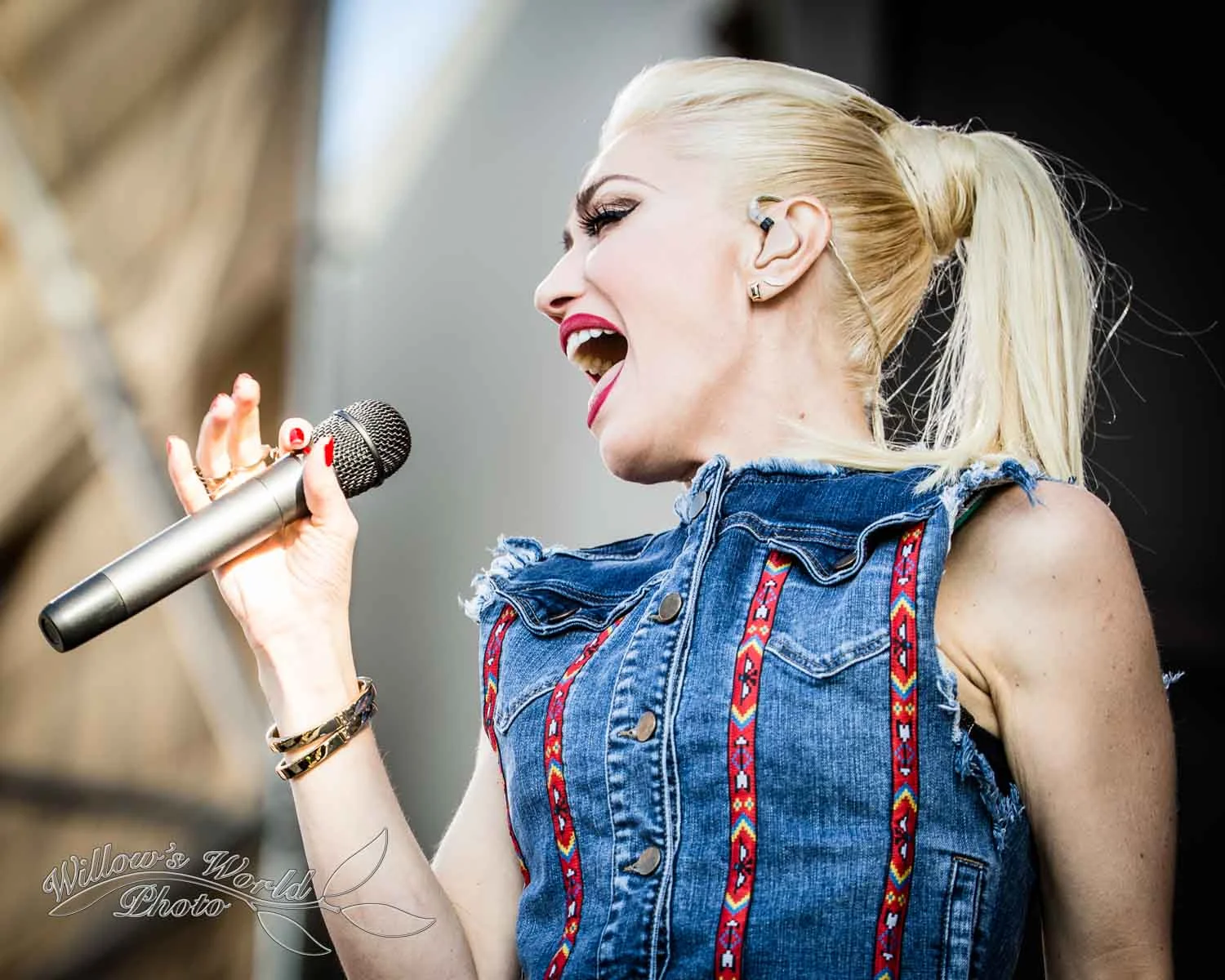 New Orleans Jazz Fest Photos WillowsWorldPhoto-37.jpg
