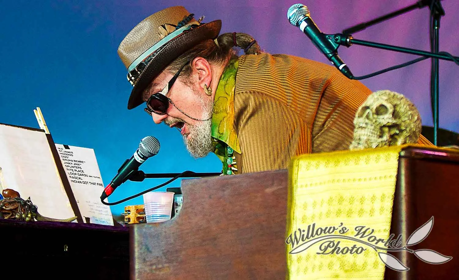 New Orleans Voodoo Fest Photos WillowsWorldPhoto-2.jpg