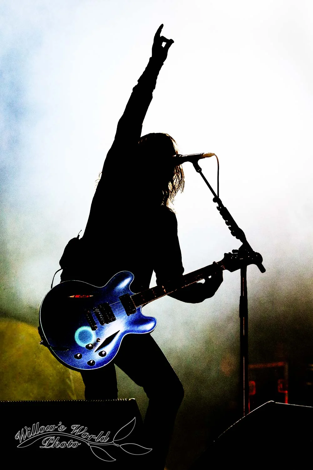New Orleans Voodoo Fest Photos WillowsWorldPhoto-7.jpg