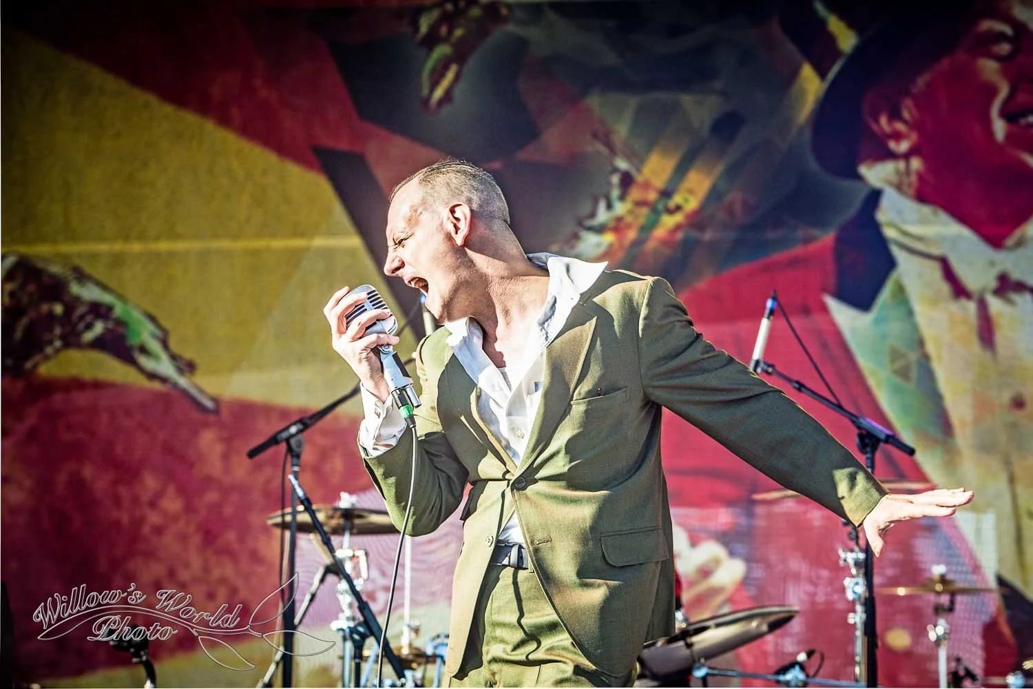 New Orleans Voodoo Fest Photos WillowsWorldPhoto-12.jpg