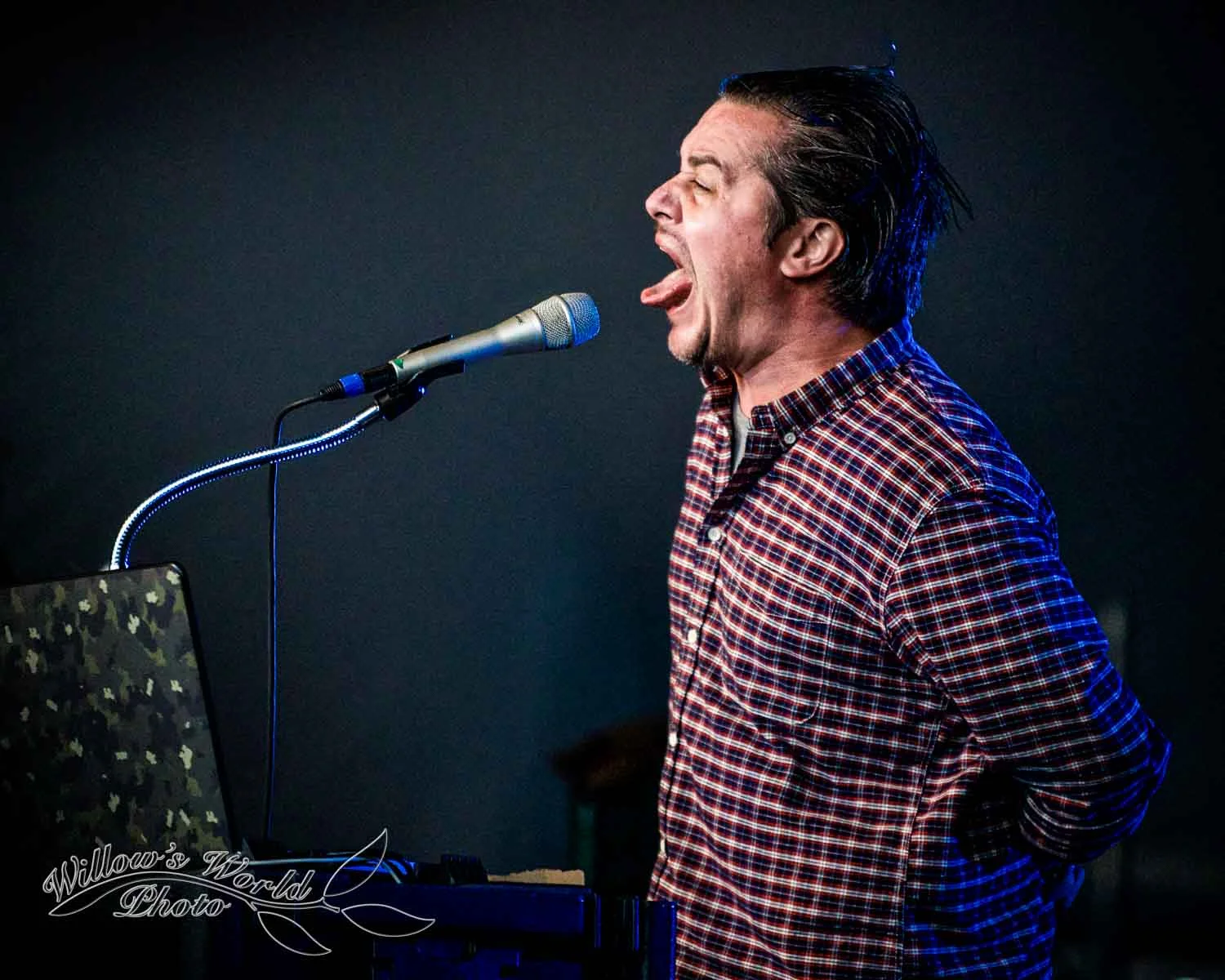 New Orleans Voodoo Fest Photos WillowsWorldPhoto-18.jpg
