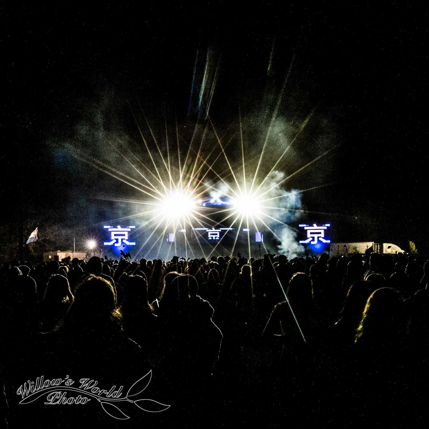 New Orleans Voodoo Fest Photos WillowsWorldPhoto-21.jpg