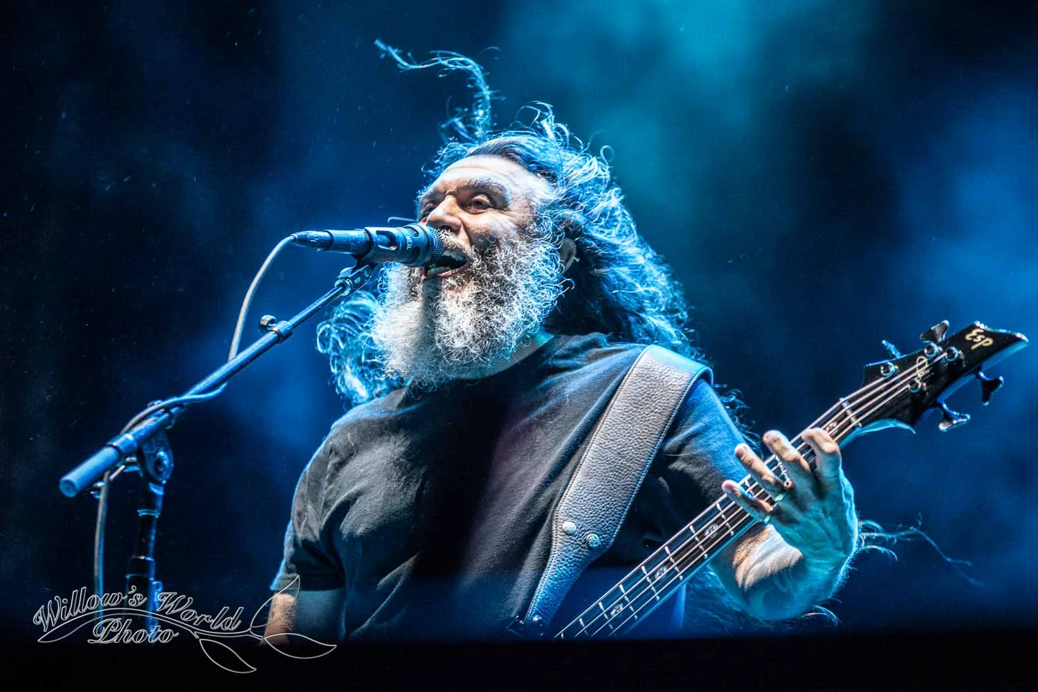 New Orleans Voodoo Fest Photos WillowsWorldPhoto-25.jpg