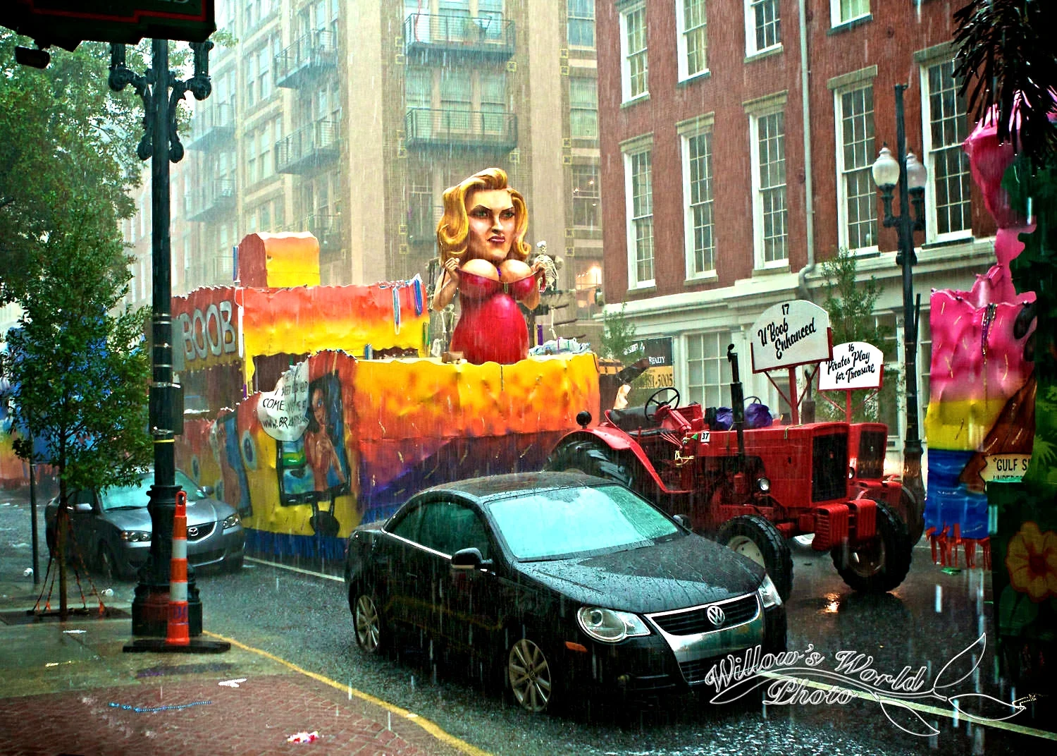 Mardi Gras WillowsWorldPhoto-8.jpg