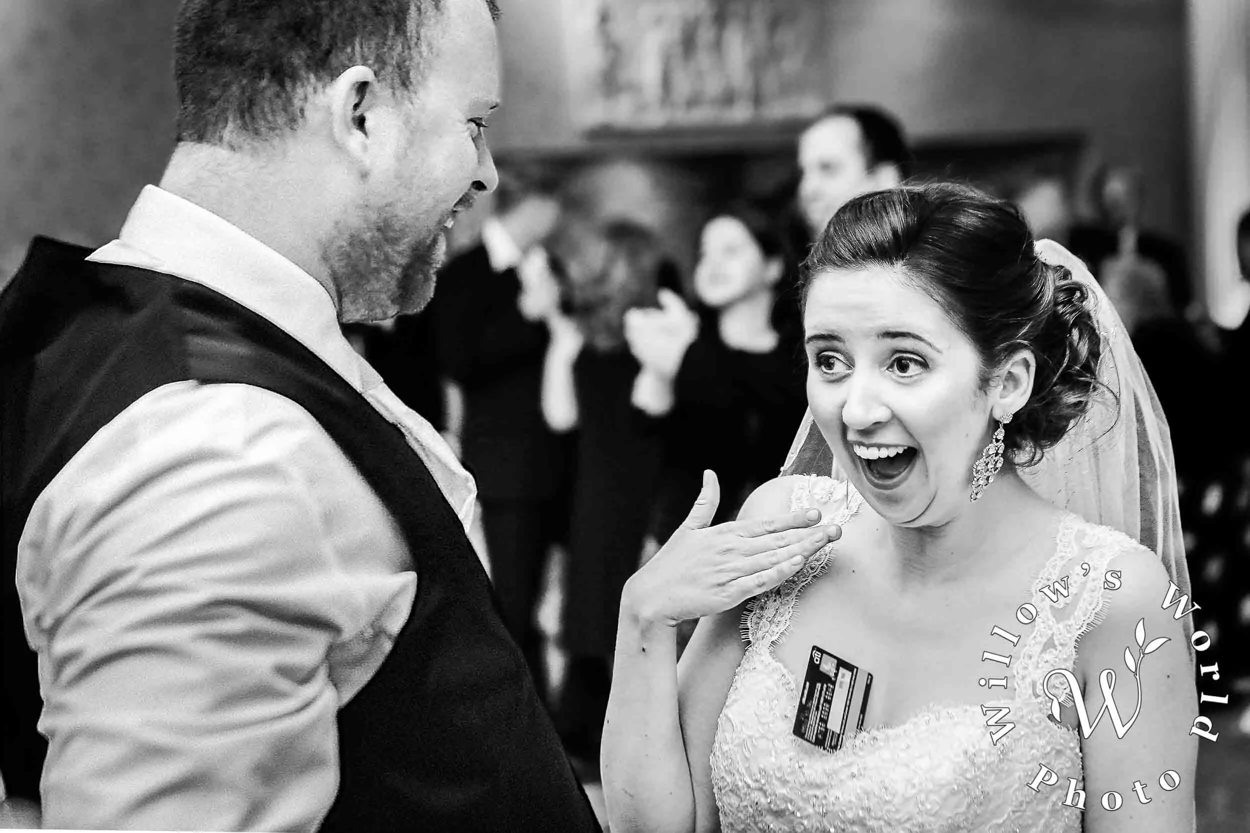 16-Magnolia-Plantation-New-Orleans-Money-Dance-Wedding-Reception-Photo-Willows-World-Photo.jpg