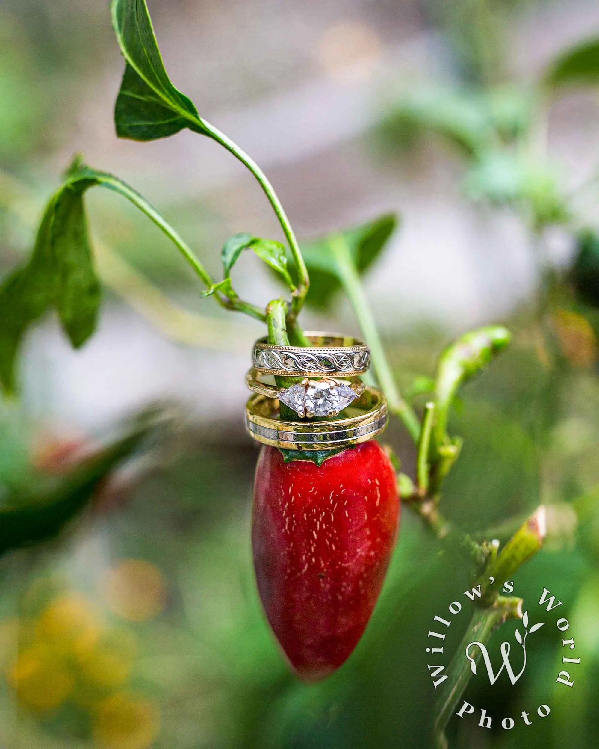 4-Platinum-Gold-DIamond-Wedding-Rings-on-Chili-Pepper-Plant.jpg