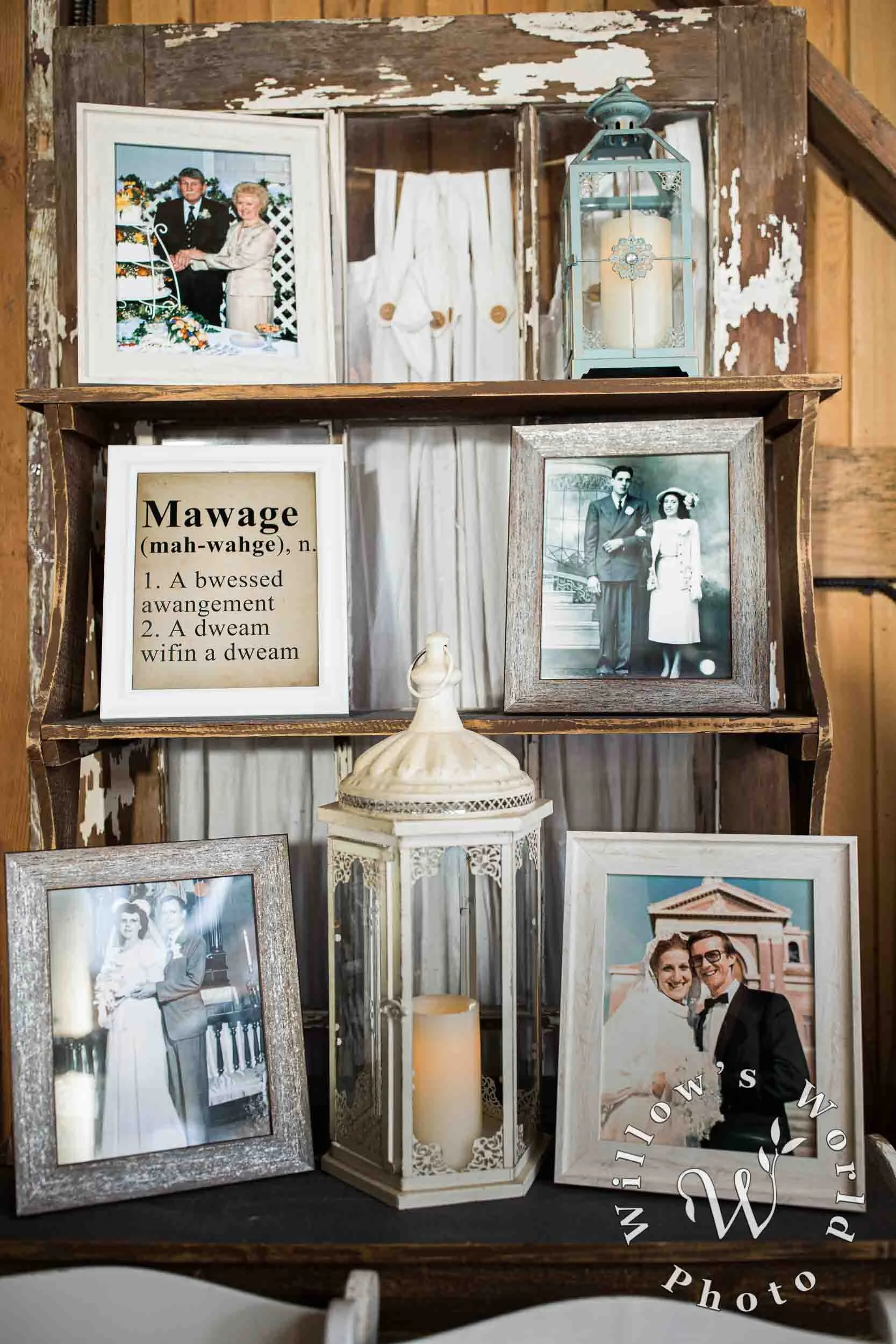 54-Family-Portraits-Princess-Bride-Theme-Decorations-Willows-World-Photo.jpg