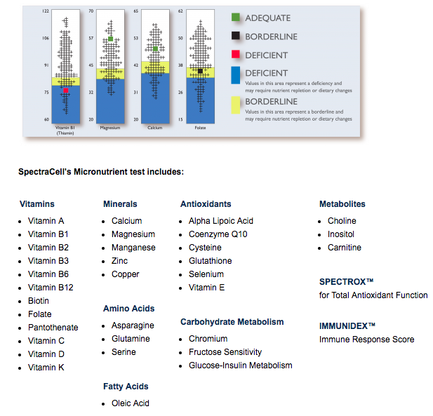 Here's a sample of the basics that a micronutrient test looks at. Image provided by SpectraCell Laboratory. 