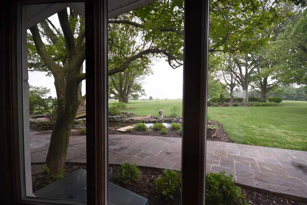 garden.jpg