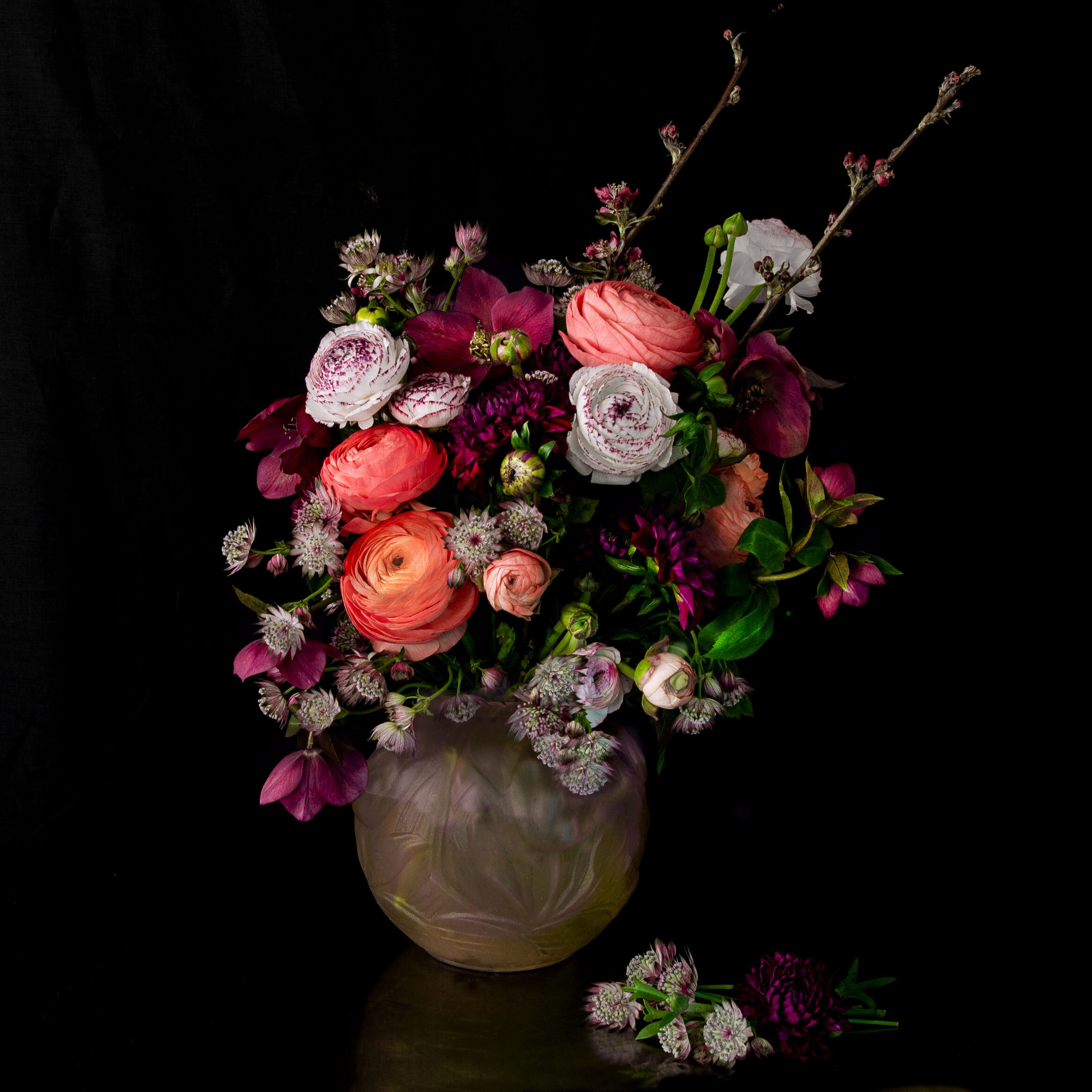 First-of-Spring_KBV_9544_website.jpg