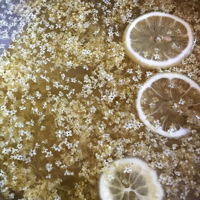 Homemade elderflower cordial 😍
I love elderflower, have done since I was little, when my nan used to make us elderflower champagne!
Now I make this cordial every year, the boys are great at spotting the flowers now &amp; yell from the back of the ca