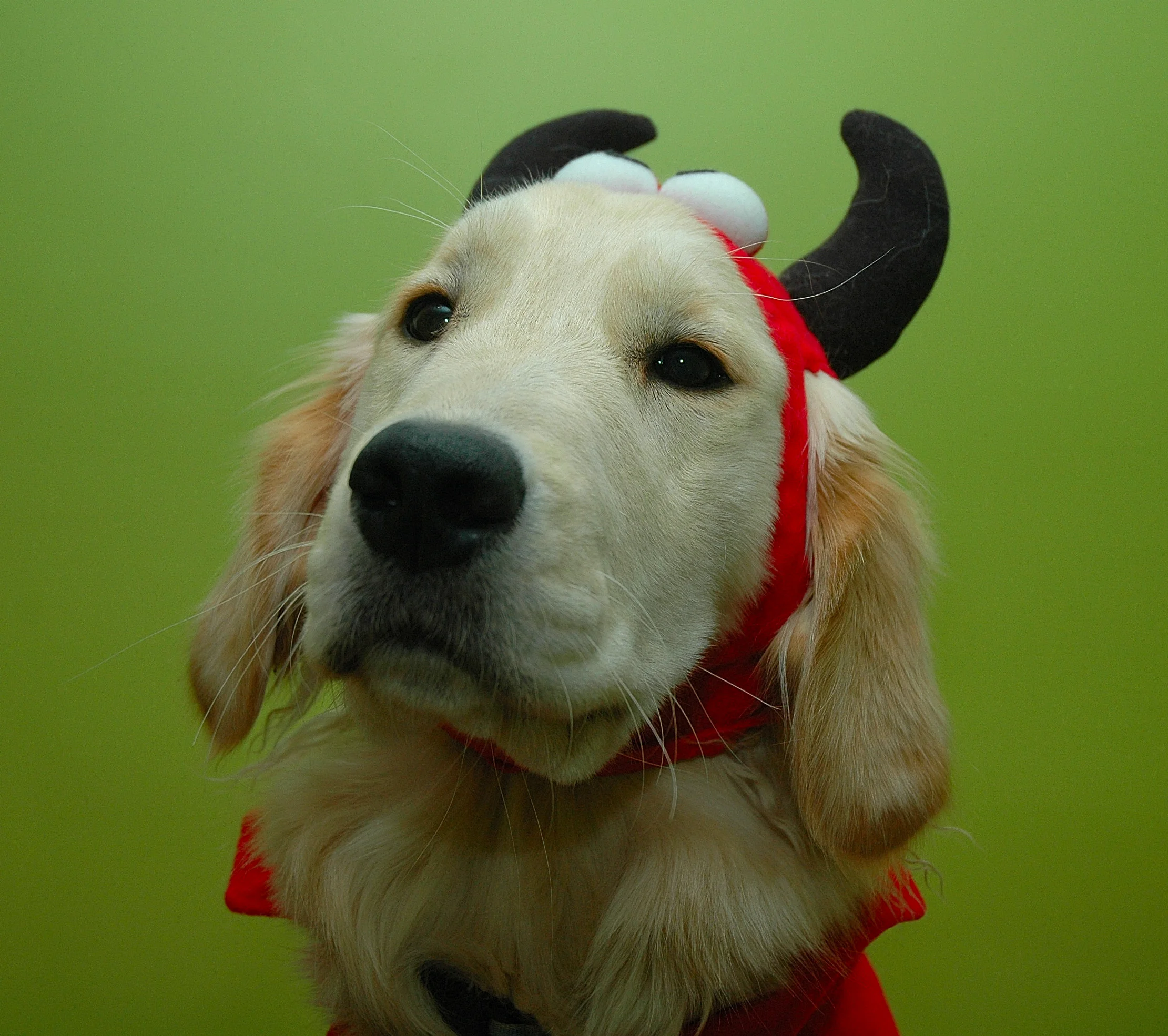  PORTFOLIO p1.0   Look up.&nbsp; Look down. Look out. Look around.  