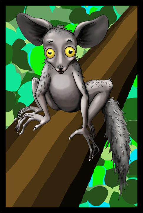Aye-aye