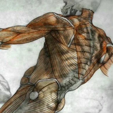 Michelangelo Muscle Overlay