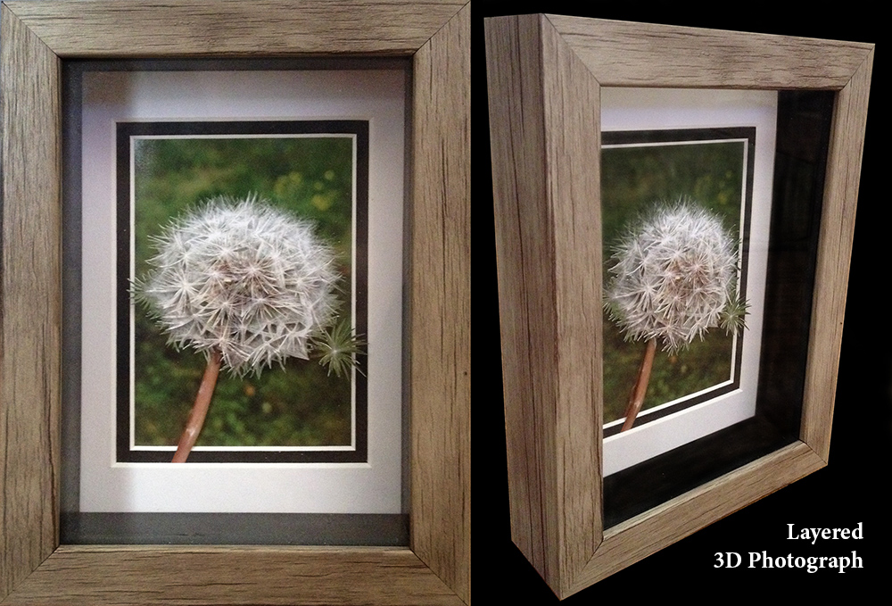 Dandelion