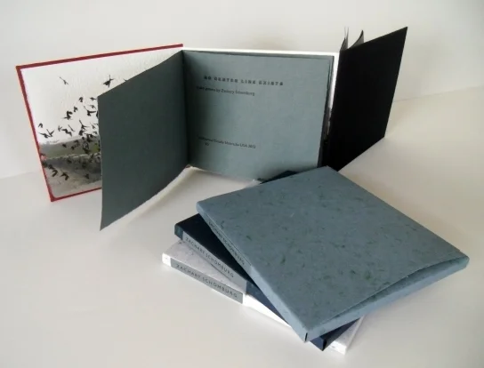 Denise Brady, the bookmaker behind Bradypress in Omaha, has designed and printed a beautiful book which features a set of b-side poems of mine written prior to the publication of Scary, No Scary . This book is printed on antique paper and her own handmade paper, and the boards are covered in Japanese silk. The text is two single sections sewn dos-à-dos . It is a signed and numbered edition of only 18 copies. Maybe you want to buy one .