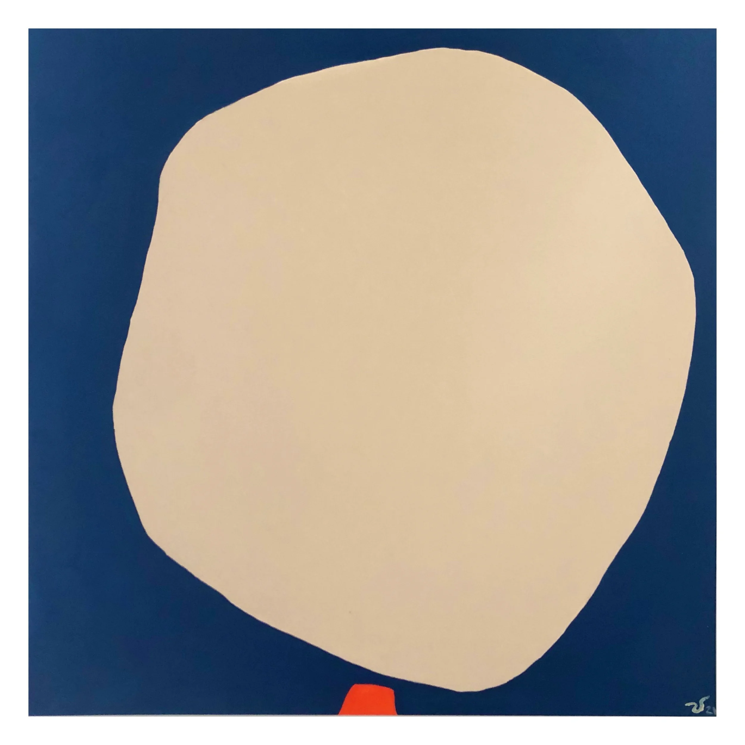 Whitagram-Image - 2021-11-30T155302.912.JPG